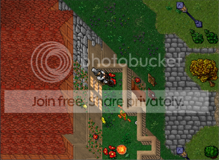 02.png