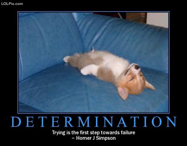 Funny_Pictures_8124.jpg