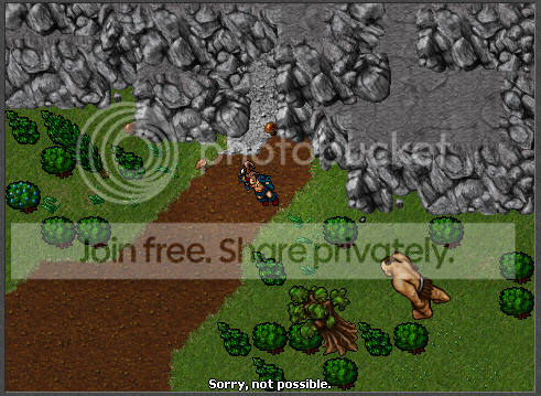 81.png