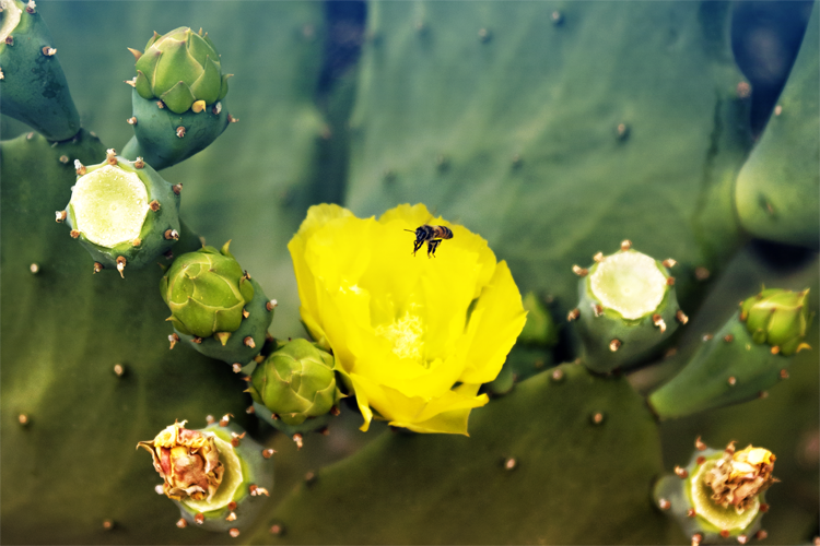 random_photo__12_by_darkressxx-d62w1z7.png