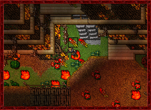 thornfire.gif