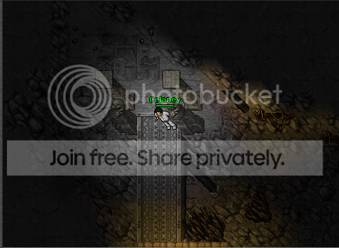 showoff16.png
