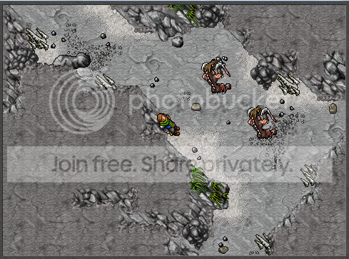 13.png