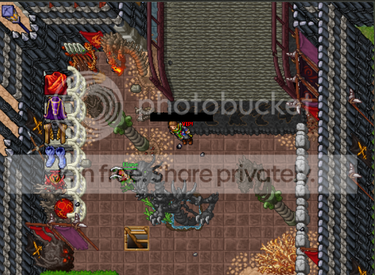 dp1.png