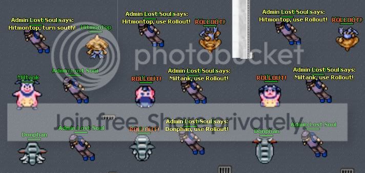roll.jpg