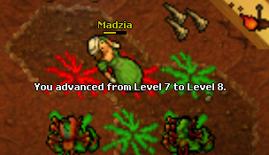 nLipt.png