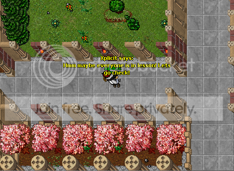 les.png