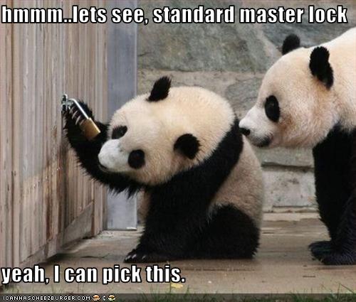 funny-pictures-pandas-pick-lock.jpg