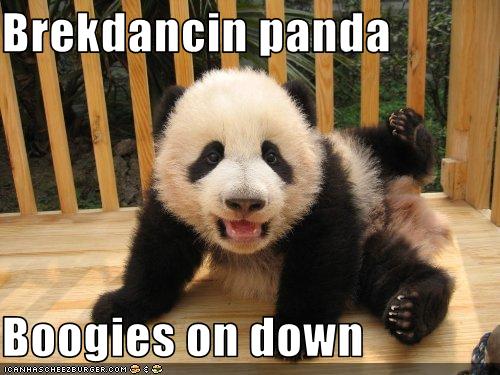 funny-pictures-breakdancing-panda.jpg