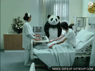 never-say-no-to-panda-o.gif