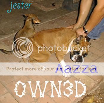 owned-dogscopia.jpg