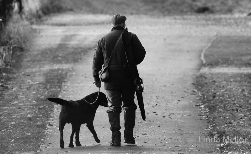 black-and-white-lone-gun-and-dog-walking-away.jpg