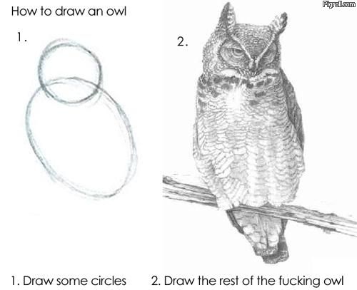 how_to_draw_an_owl.jpg