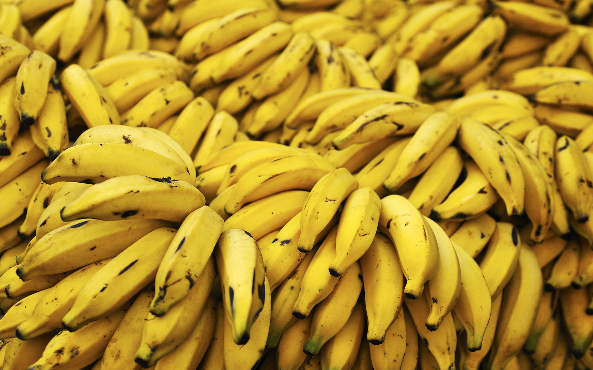 bananas-benef%C3%ADcio.jpeg