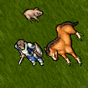 warrior_and_horse.png